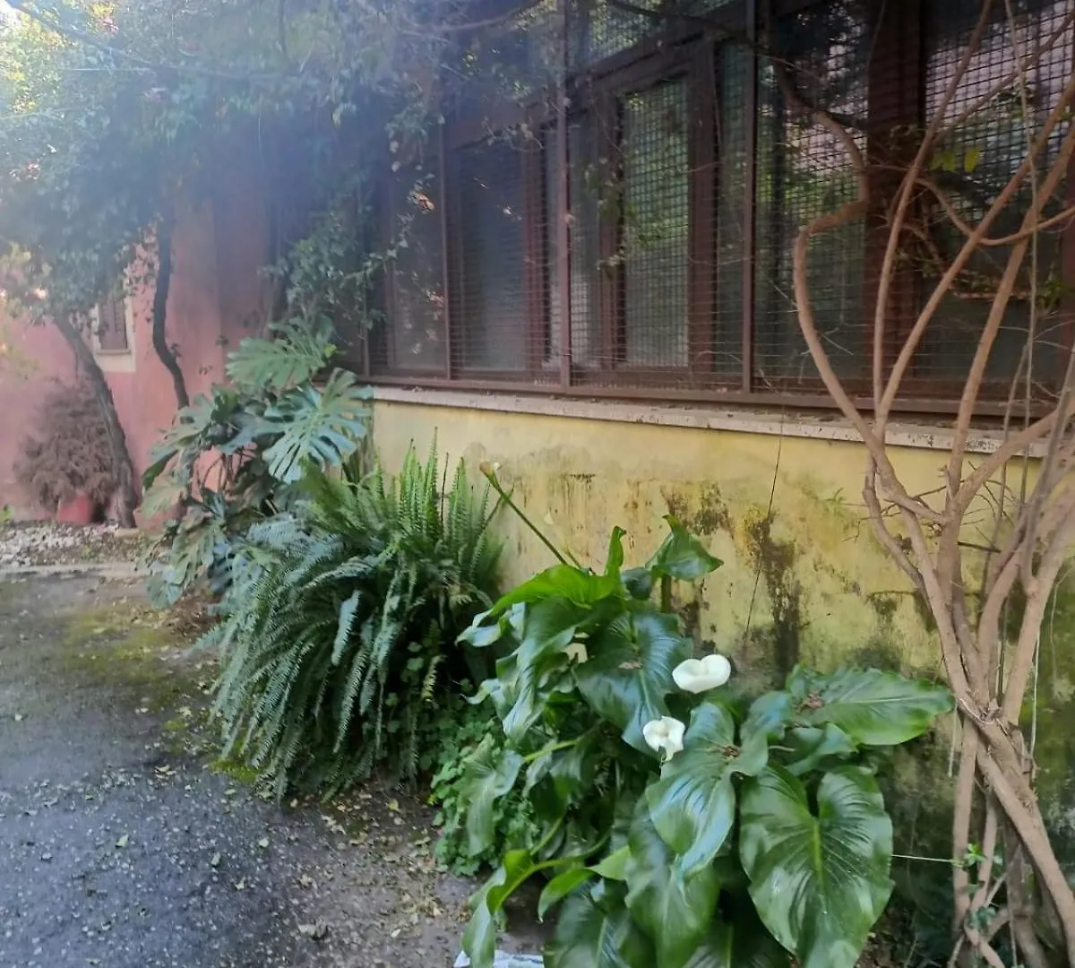 Terrazza Quintili - A Un Passo Dal Centro Di Roma Villa Holiday home